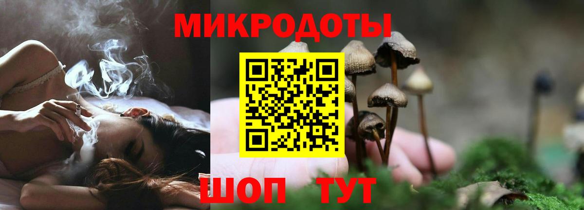 Горячий Ключ  Псилоцибиновые грибы Psilocybine cubensis  Вход с VPN 